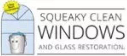 Squeaky Clean Windows Dallas