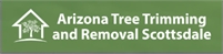 Arizona Tree Trimming And Removal Scottsdale Arizona Tree Trimming And Removal Scottsdale