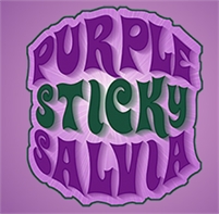  Salvia Retail